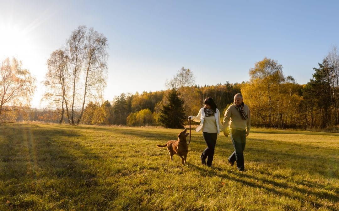 10 tips for a healthy heart